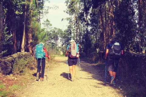 远华娱乐:《远华案黑幕》作者盛雪谈肖建华案背后权斗 远华娱乐:《远华案黑幕》作者盛雪谈肖建华案背后权斗