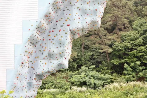 智尊娱乐：微信建群介绍赌博获取提成 女子获刑一年