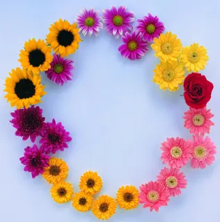 易发棋牌：易发棋牌