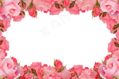 韦德：韦德职业生涯的最后几年