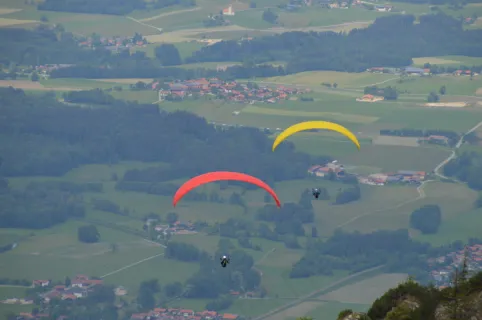 lionking老虎机：求通俗解释下bandit老虎机到底是个什么东西？