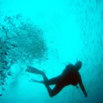 188金宝博:188金宝博网站网址 188金宝博网站登录 太阳城娱乐平台 eflbG8jT