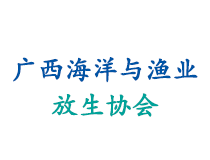 玛雅娱乐城：畅享精彩的线上娱乐体验