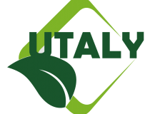 星辉娱乐官网：引领时尚潮流，畅享独特娱乐体验