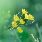 新博2官方网站重磅上线!这五大更新内容你绝对不容错过! 2F59B261